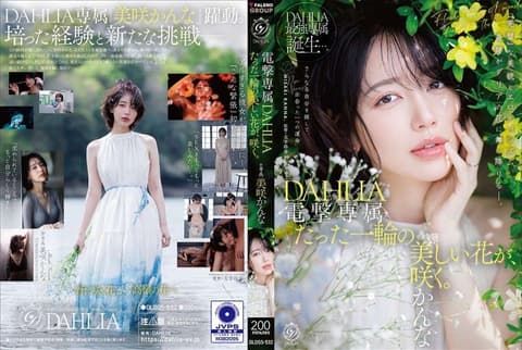 电击专属 DAHLIA 美咲佳奈 仅此一朵美丽之花，绽放。 DLDSS-532